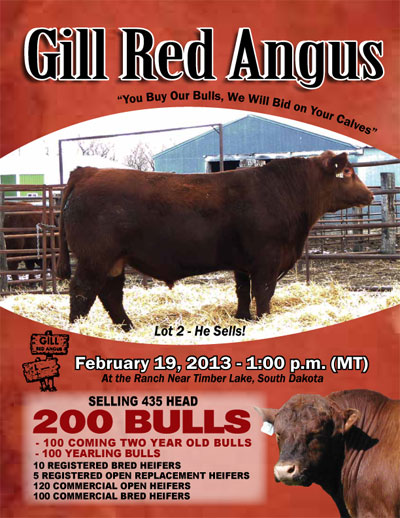 Gill Red Angus