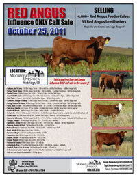 Gill Red Angus Cattle